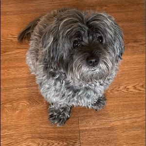 Meet your Posher, Marilyn